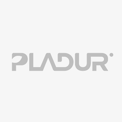 logo-pladur